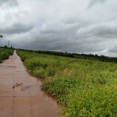 澄迈县福山镇博才村委会昌球村109.64亩土地出租