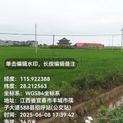 丰城市筱塘乡庙前村委会水田
