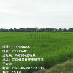 丰城市筱塘乡庙前村委会水田