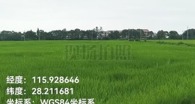 丰城市筱塘乡庙前村委会水田
