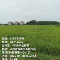 丰城市筱塘乡庙前村委会水田