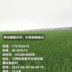丰城市筱塘乡庙前村委会水田