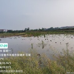 丰城市筱塘乡倪家村委会水田