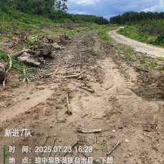 海南省直辖县琼中黎族苗族自治县海胶集团阳江分公司新进07队492.4亩胶园林下农业土地出租
