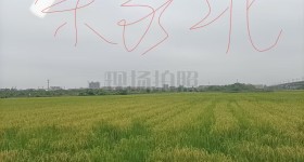 丰城市小港镇余家村委会水田