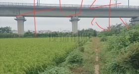 丰城市小港镇余家村委会水田