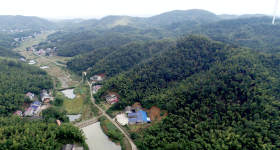 赫山区泥江口镇国庆村0302-03 林地出租