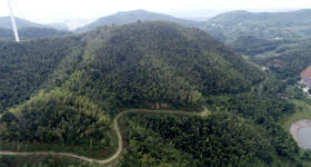 赫山区泥江口镇国庆村0302-04 林地出租