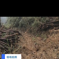 丰城市蕉坑乡坪上村委会水田