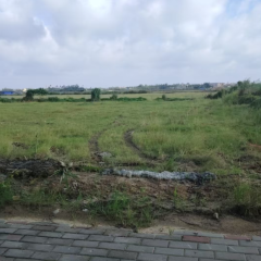 海南省直辖县万宁市镇南社区第四第五居民小组16.5亩土地出租