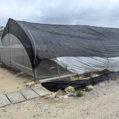 省直辖县陵水黎族自治县文罗镇新华村100亩无土栽培项目合作