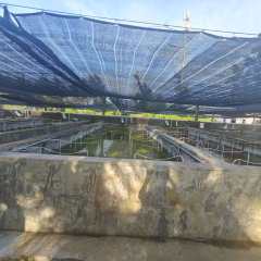 海南省直辖县琼海市潭门镇草塘村委会孟一村小组滨海大道10.91亩坡地出租