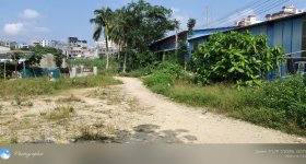 省直辖县屯昌县西昌镇屯城镇新建社区蔡村一组17亩住宅用地出租(45383)