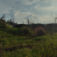 省直辖县文昌市铺前镇仕后村股份经济合作联合社500亩集体土地出租