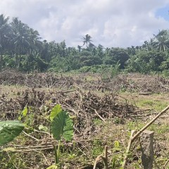 海南省直辖县琼海市长坡镇长山园村委会文吴村小组13.5亩坡地出租
