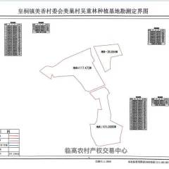 临高县皇桐镇美香村委会美巢村前坡地块257.2346亩土地出租