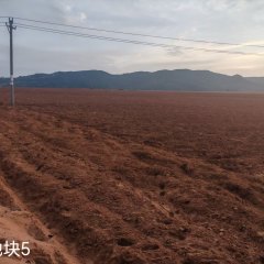 陵水黎族自治县黎安镇岭仔村委会岭仔村股份经济合作联合社地块5集体126亩耕地经营权出租