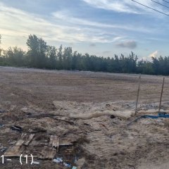 陵水黎族自治县黎安镇岭仔村委会岭仔村股份经济合作联合社地块1-1集体15亩耕地经营权出租