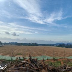 陵水黎族自治县黎安镇岭仔村委会岭仔村股份经济合作联合社地块2集体100亩耕地经营权出租