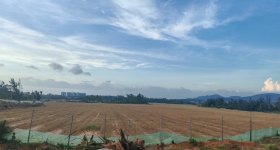 陵水黎族自治县黎安镇岭仔村委会岭仔村股份经济合作联合社地块2集体100亩耕地经营权出租