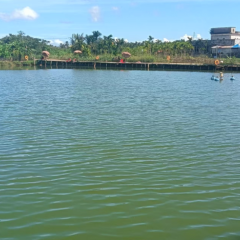 海南省直辖县万宁市滨湖社区第六居民小组7.12亩集体养殖塘出租