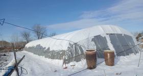 五大连池市双泉镇龙头村股份经济合作社食用菌栽培基地出租