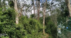 海南三亚市海胶集团立才分公司2989.74亩农业土地出租