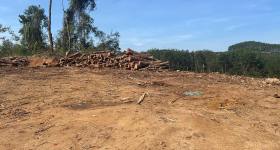 海南省直辖县乐东黎族自治县海胶集团山荣分公司乐中片区12队293.26亩农业土地出租