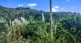 海南省直辖县万宁市大茂镇联益村委会老达村民小组集体土地149.97亩出租项目