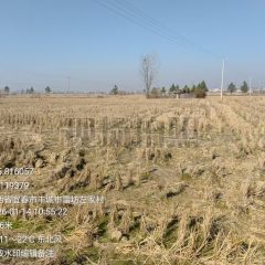 丰城市孙渡街道左家村委会水田