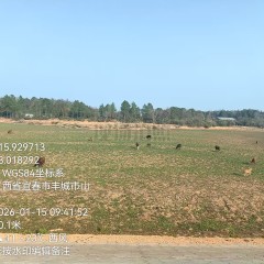 丰城市秀市镇蒋家村委会蛇坑水库