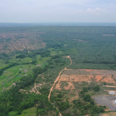 海南儋州市东成镇平地村委会银村175.274亩土地土地经营权出租