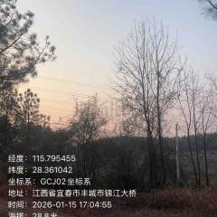 丰城市同田乡候塘村委会穷山背象尾山瓦屋下山林