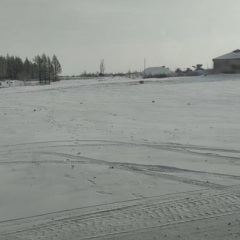 五大连池市双泉镇龙丰村股份经济合作社一屯道北场地出租