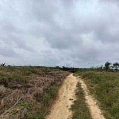 海南省直辖县琼海市长坡镇孟文村委会照文山村58.61亩园地出租