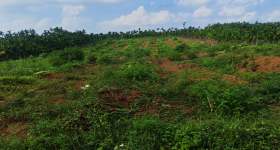 海南省直辖县定安县金鸡岭分公司金鸡岭片原14队68.3亩林下土地出租