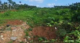 海南省直辖县定安县金鸡岭分公司金鸡岭片原5队142.5亩林下土地出租