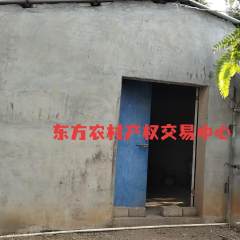 海南省直辖县东方市大田镇报白村5.15亩鱼塘猪圈出租