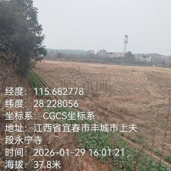 丰城市尚庄街道后港村委会水田