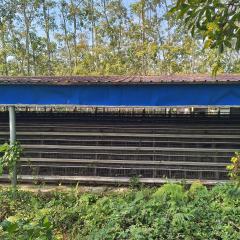 海南省直辖县白沙黎族自治县白沙黎族自治县荣邦乡芙蓉村委会养鸡场场地7亩及林地15亩出租