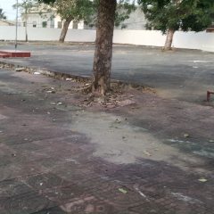 省直辖县澄迈县中兴镇里万小学总占地面积18473.3平方米闲置校舍出租