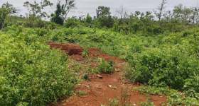 海南海口市琼山区金鸡岭分公司红明片原43队111.5亩土地出租