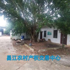 省直辖县昌江黎族自治县叉河镇红阳村第一小学校舍530㎡（土地面积7587㎡）出租