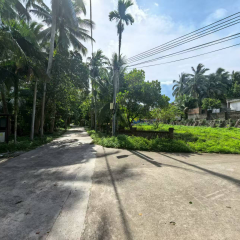 海南省直辖县万宁市兴隆华侨农场31队23.41亩用地租赁项目