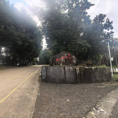 海南省直辖县万宁市兴隆华侨农场兴隆温泉公园29.72亩用地租赁项目