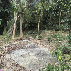 海南省直辖县万宁市兴隆华侨农场32队13.9亩用地租赁项目