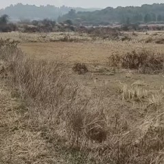 丰城市荷湖乡康庄村委会水田