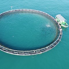 海南省直辖县陵水黎族自治县陵水湾海洋牧场渔旅经营合作