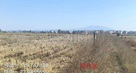 丰城市荷湖乡南江村委会水田