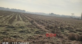 丰城市荷湖乡南江村委会水田